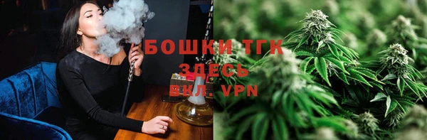 гидра Бронницы