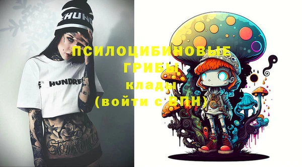 гидра Бронницы