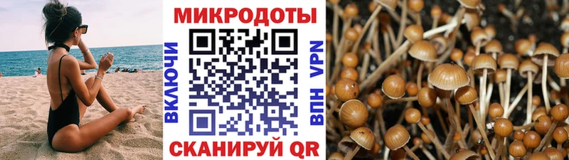 Купить где  Воркута  Галлюциногенные грибы Cubensis 